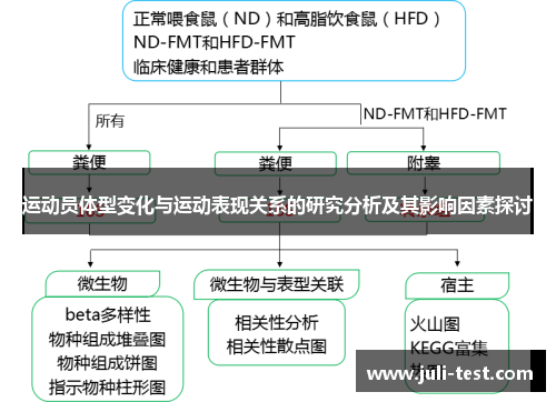 运动员体型变化与运动表现关系的研究分析及其影响因素探讨