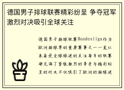 德国男子排球联赛精彩纷呈 争夺冠军激烈对决吸引全球关注