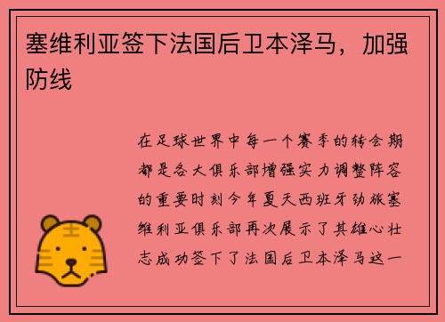 塞维利亚签下法国后卫本泽马，加强防线