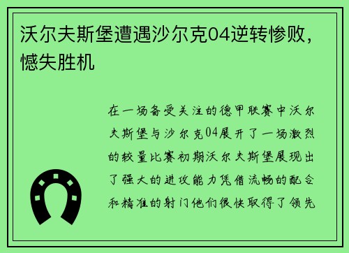 沃尔夫斯堡遭遇沙尔克04逆转惨败，憾失胜机