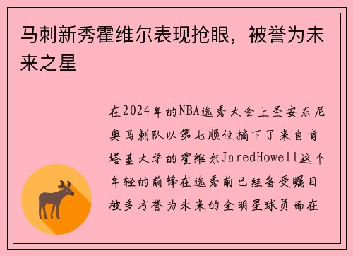 马刺新秀霍维尔表现抢眼，被誉为未来之星