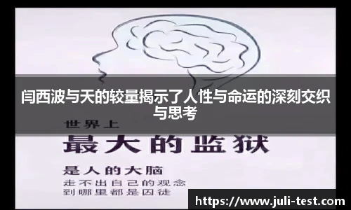 TVT体育登录